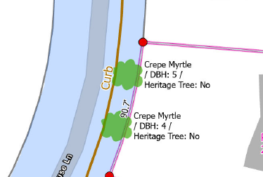 Heritage Trees & Spatial Tree Mapping in Charlotte, NC